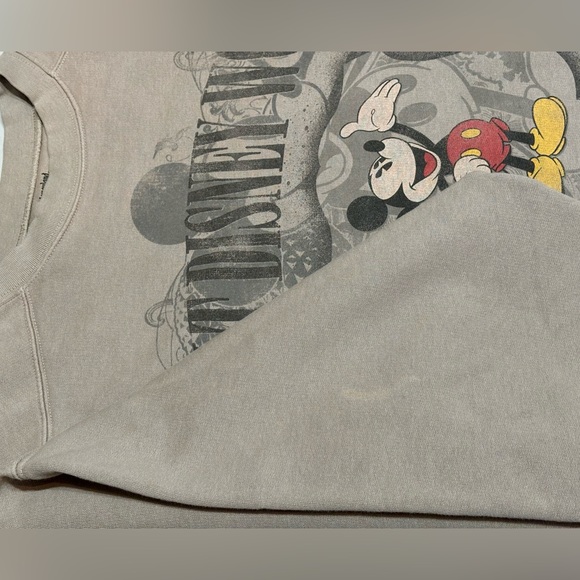 Walt Disney World Sweatshirt L/XL - Picture 7 of 10